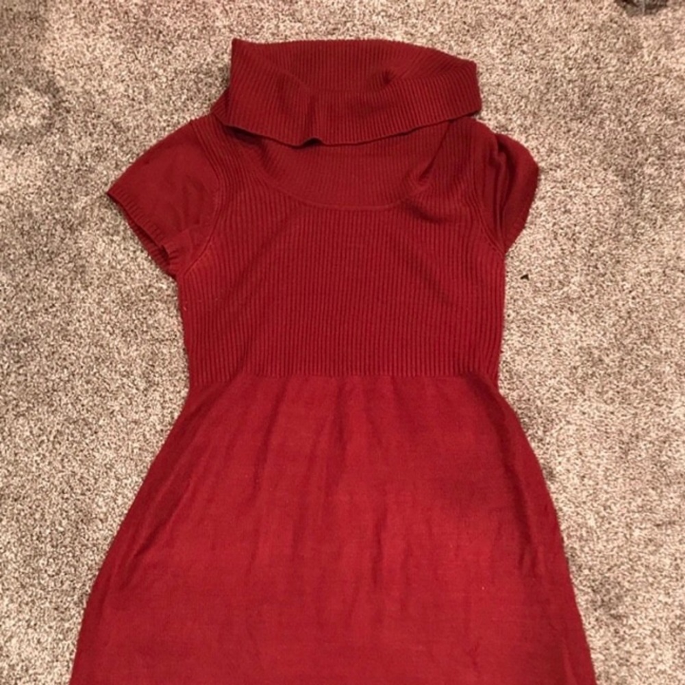 Turtle neck sweater dress
